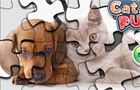  Cat Vs Dog Puzzle