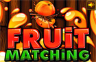  Fruit Matching